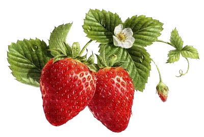 Erdbeeren - Zdarma animovaný GIF