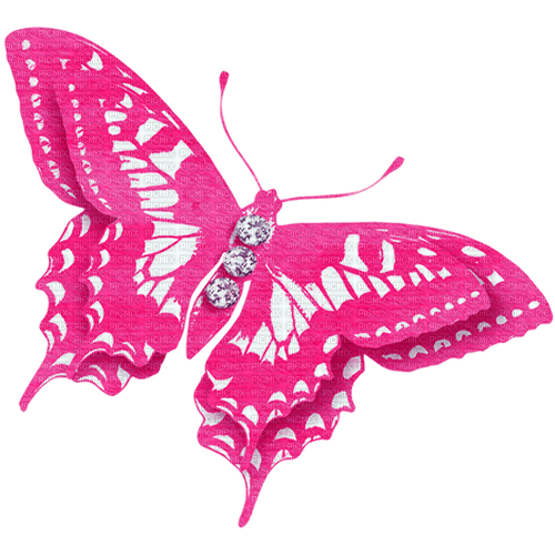 Bejeweled Butterfly.Pink - png grátis