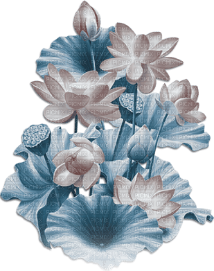 soave deco branch flowers water lilies blue brown - zadarmo png