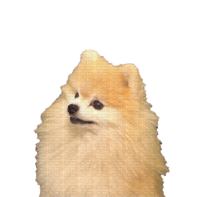 Kaz_Creations Dogs Dog Pup 🐶 Animated - Ücretsiz animasyonlu GIF