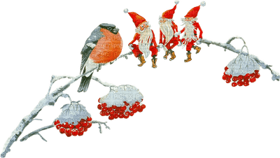 Christmas birds bp - zadarmo png