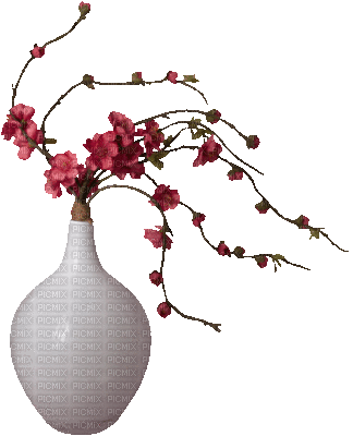váza - Gratis animeret GIF