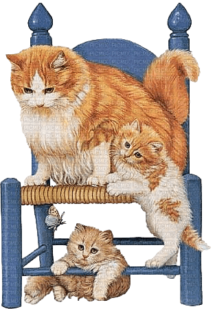 Cat.Chat.Gatos.Katze.Chair.Victoriabea - 免费PNG