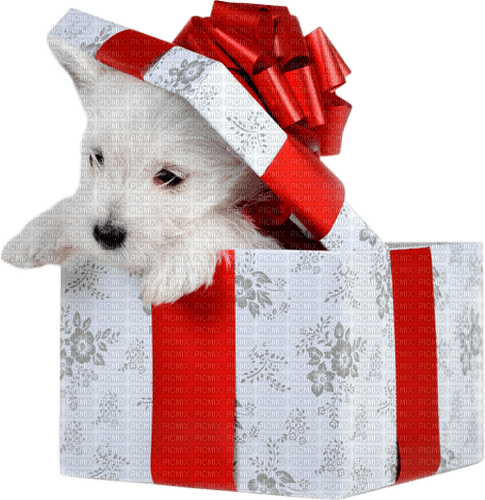 christmas dog by nataliplus - бесплатно png