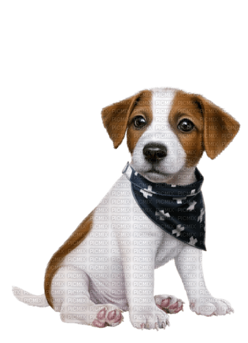 maj beagle - png ฟรี
