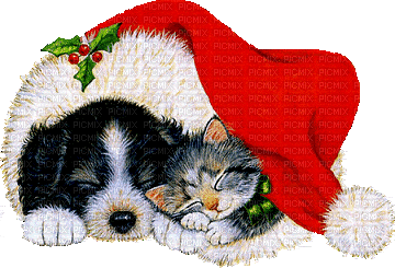 Kaz_Creations Christmas Deco Cat Dog Pup Kitten - GIF animé gratuit