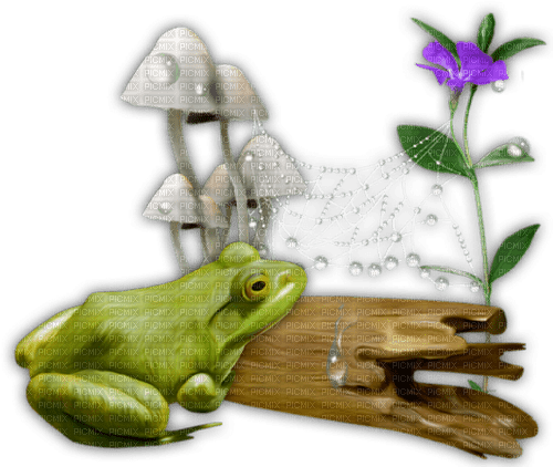 Frog.Grenouille.Crapaud.Toad.Victoriabea - PNG gratuit