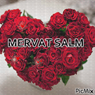 MERVAT.SALM - Δωρεάν κινούμενο GIF