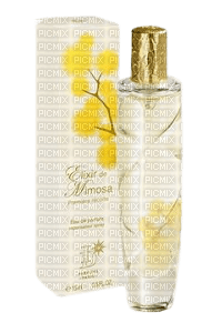 Mimosa fragrance,perfume - PNG gratuit