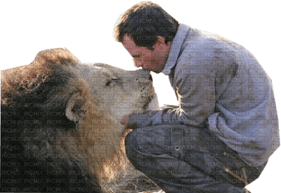 Kaz_Creations Animals Animal Lion Man Homme - zdarma png