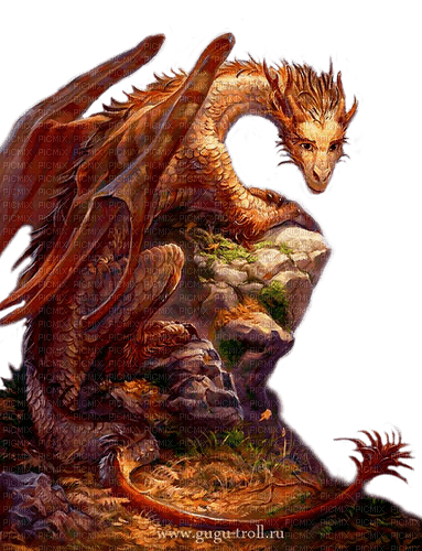 dragon by nataliplus - darmowe png