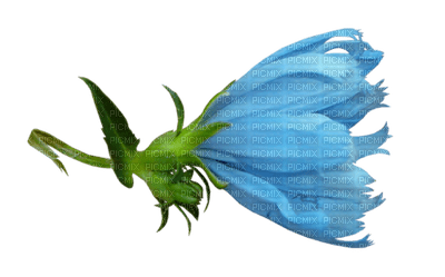 Kaz_Creations Blue Deco Flower Colours - PNG gratuit