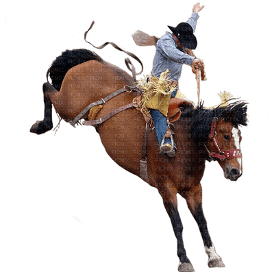 homme & cheval - PNG gratuit