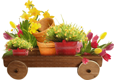 Kaz_Creations Deco Flowers Flower Colours vase Plant - zadarmo png