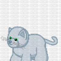 cat dance - Бесплатни анимирани ГИФ