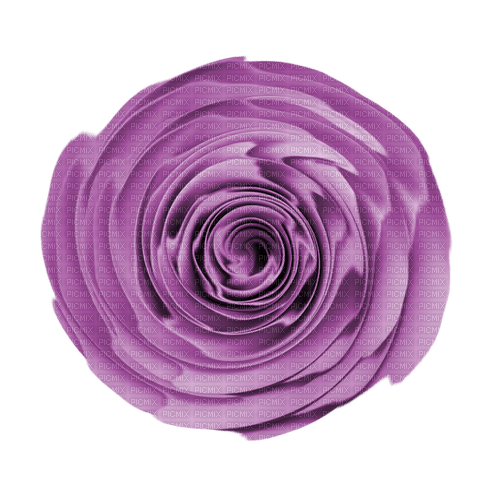 kikkapink deco purple flower - PNG gratuit