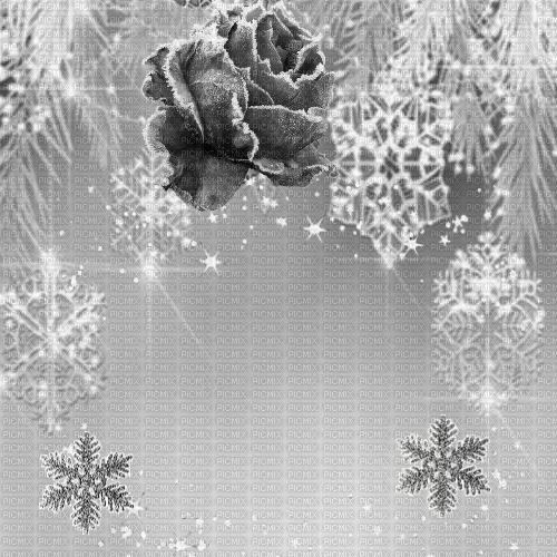 DI  / Bg winter.stars.rose.pin.grey.idca - Ücretsiz animasyonlu GIF