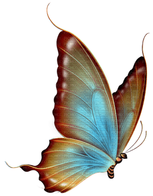 Kaz_Creations Butterfly - zadarmo png