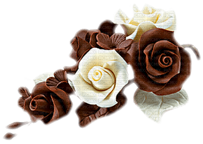 soave deco chocolate flowers rose brown white - PNG gratuit