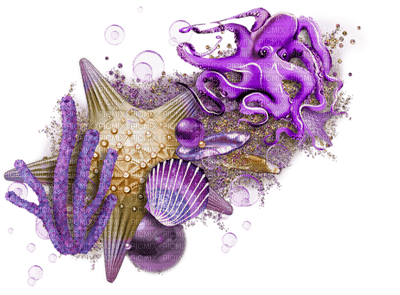 seashells - nemokama png