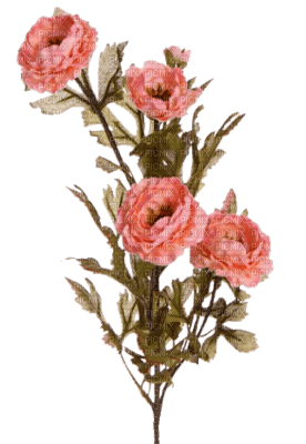 cecily-branche fleurs - бесплатно png