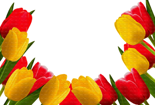 loly33 tulipe - ücretsiz png