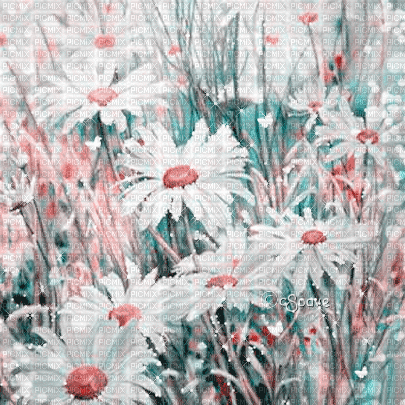 soave background animated painting flowers daisy - Free animated GIF