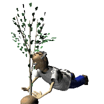 Tree - GIF animado gratis