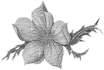 flor gris gif - Nemokamas animacinis gif