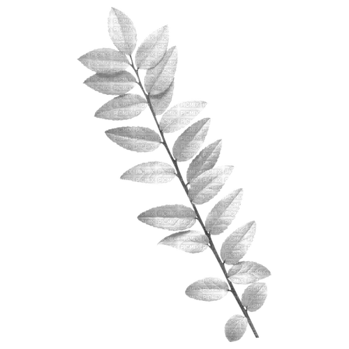 kikkapink deco scrap white leaves - PNG gratuit