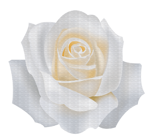 nbl-rose - 免费PNG