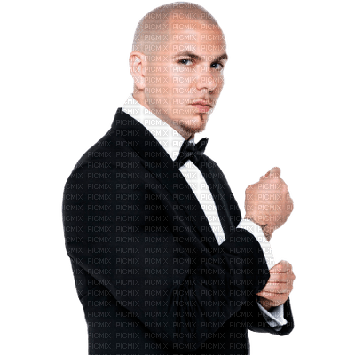 Kaz_Creations Man Homme Pitbull Singer Music - gratis png