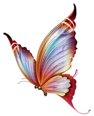 papillonGS - zdarma png
