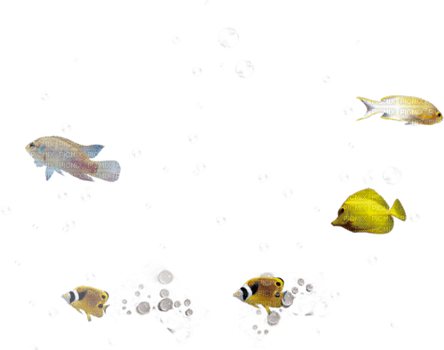 Poissons - zdarma png