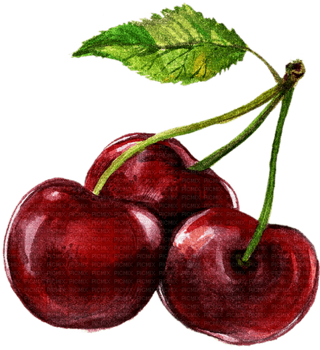 cherries watercolor Bb2 - bezmaksas png