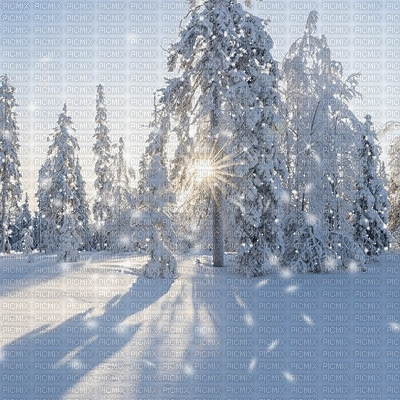 kikkapink winter snow animated background - GIF animado grátis