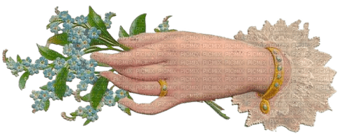 painted hand holding flowers vintage - zdarma png