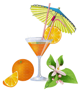summer cocktail - zdarma png