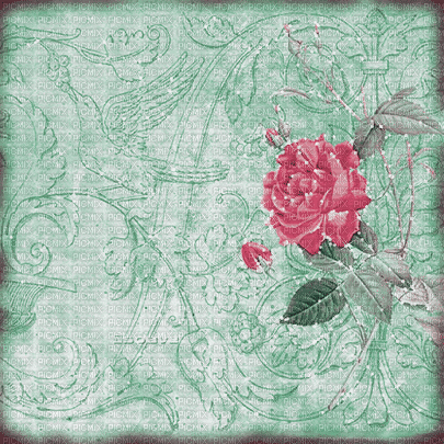 soave background animated  pink green - 免费动画 GIF