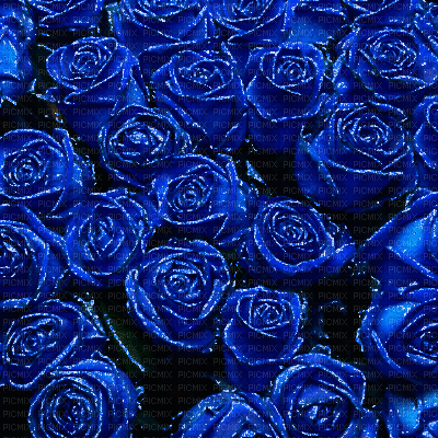 Blue Roses Background - GIF animé gratuit