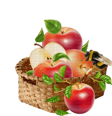patymirabelle fruits - png gratis