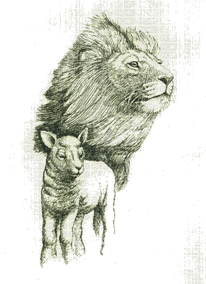The Lion and the Lamb bp - GIF animado gratis