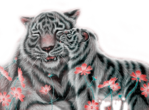 Y.A.M._Animals tiger - png grátis