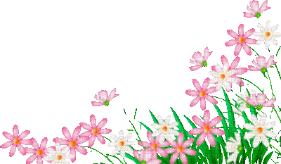 Y.A.M._Summer Flowers Decor - GIF animado gratis