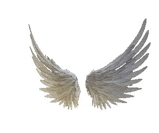 Angel Wings - Darmowy animowany GIF