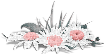 soave deco flowers daisy pink teal - ücretsiz png