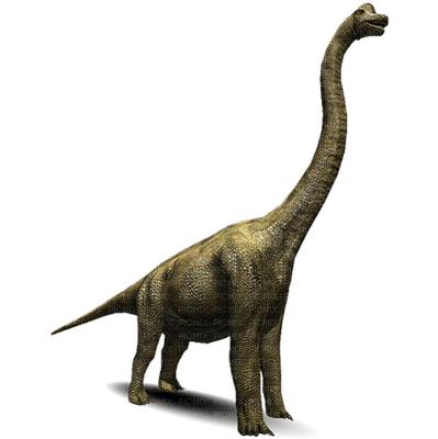 dinosaurio by EstrellaCristal - kostenlos png
