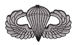 Airborne Pin PNG - gratis png