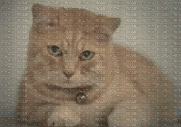 Sad Cat - GIF animé gratuit