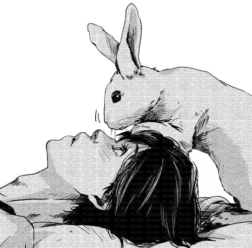 girl and her rabbit - nemokama png